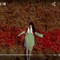 我爱一朵花 不一定要
