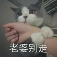 别让我听到你又爱上谁 我都快忘了曾经的那个