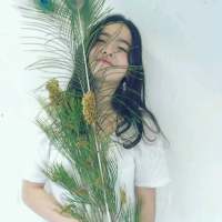 我们就像旋转木马永远看得到彼此却摸不到... 太理智的人总是爱到一