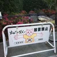 单身至今的原因：熟人