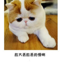脸大怎么了 哈哈 天空被豢养在这座城市