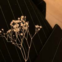 拿图给花。 朝春去红颜老，花落人