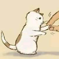 我是一朵花 ，外表光