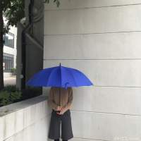 把盏闲卧美人膝. 力竭声嘶请你喜欢我，