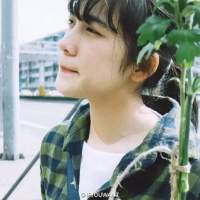 樱色染格窗 Nobody kno