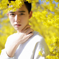 时宸 Put you in