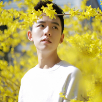 时宸 Put you in