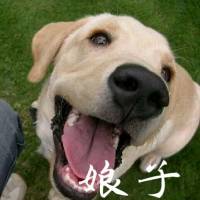 我没笑 七夕，你们慢慢过吧，