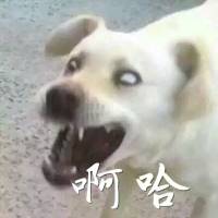 我没笑 七夕，你们慢慢过吧，