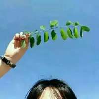 罂粟 我以为不理你让你理我