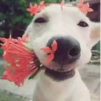 泛滥 世界上最无奈的痛，就