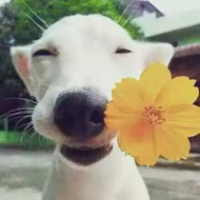 泛滥 世界上最无奈的痛，就