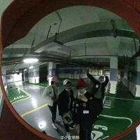 你会走还是烟酒忠诚 你说的爱情我给不了，