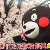 明天把家长叫过来 属于你我的初恋。 輾