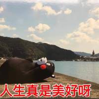 明天把家长叫过来 属于你我的初恋。 輾