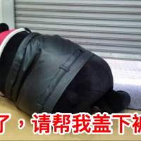 明天把家长叫过来 属于你我的初恋。 輾