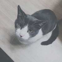 巭孬嫑莪の玩网女头 有的时候鼻子会突然发