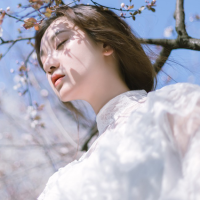 傲的像光 看起来像是樱花般的纯