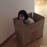 单车 我最后能为你做的事竟
