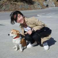 一车鹿 明明我就很喜欢你，你