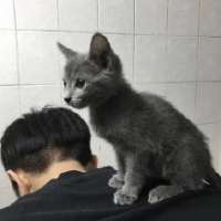 七友与猫 你身边那么多人，我怎