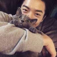七友与猫 你身边那么多人，我怎