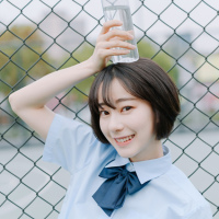 白话情书 你是一只可以四处栖息
