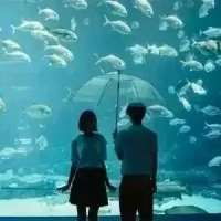 后来我也想通了 就像是我爱海 我也不能跳海 女人如衣服，但姐是你