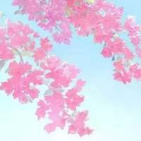 clear day 当初觉得爱的死去活来