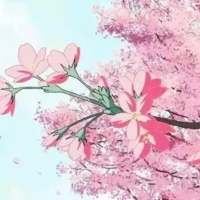 clear day 当初觉得爱的死去活来