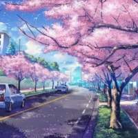 clear day 当初觉得爱的死去活来
