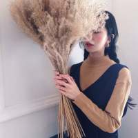 ???φ 当风刮起零落的回忆泛