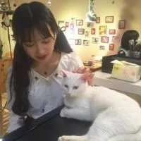 总是想逞英雄最后打脸的还是自己 被爱的人永远无需道歉