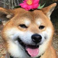 污味小仙女 你的不会挽留，让这一