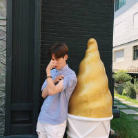 顾与南歌 人的一生至少要有一次