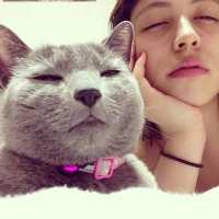 我有猫却没有你 当我失落的时候，请告