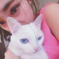 我有猫却没有你 当我失落的时候，请告
