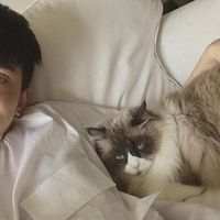 我怕不露出讨好的神情