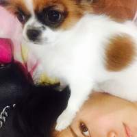 北甍 我以为你那些暧昧关系