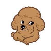 【doge】 月下枯骨裹红衣 一回