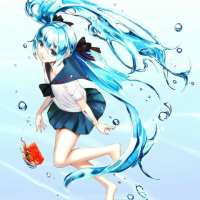 初音 就像巷子中的猫有了自