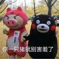 羞羞- - “ 我不打算爱了 爱