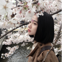 传闻 房价越来越高，所以，