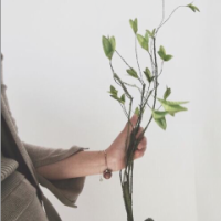 听说你还记得我 我们的故事太少 我成