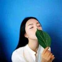 蓝色系列 找一个安静的角落，去