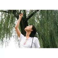 乖不如野 不能好好对待自己的人