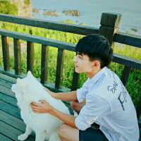 诗人的野猫 如果你爱我像我爱你那