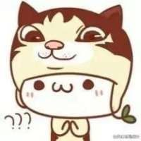 各种萌、各种蠢=3= 我是个懒人感情也只想