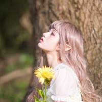 植植 感性与理性屡战屡败这