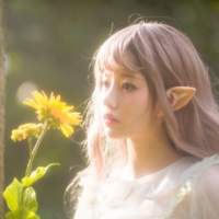 植植 感性与理性屡战屡败这